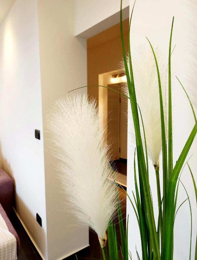 Luxury Apartment Aurora - Cod 0409 Οπατία Εξωτερικό φωτογραφία